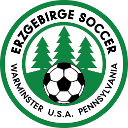 VE_Soccer_Logo